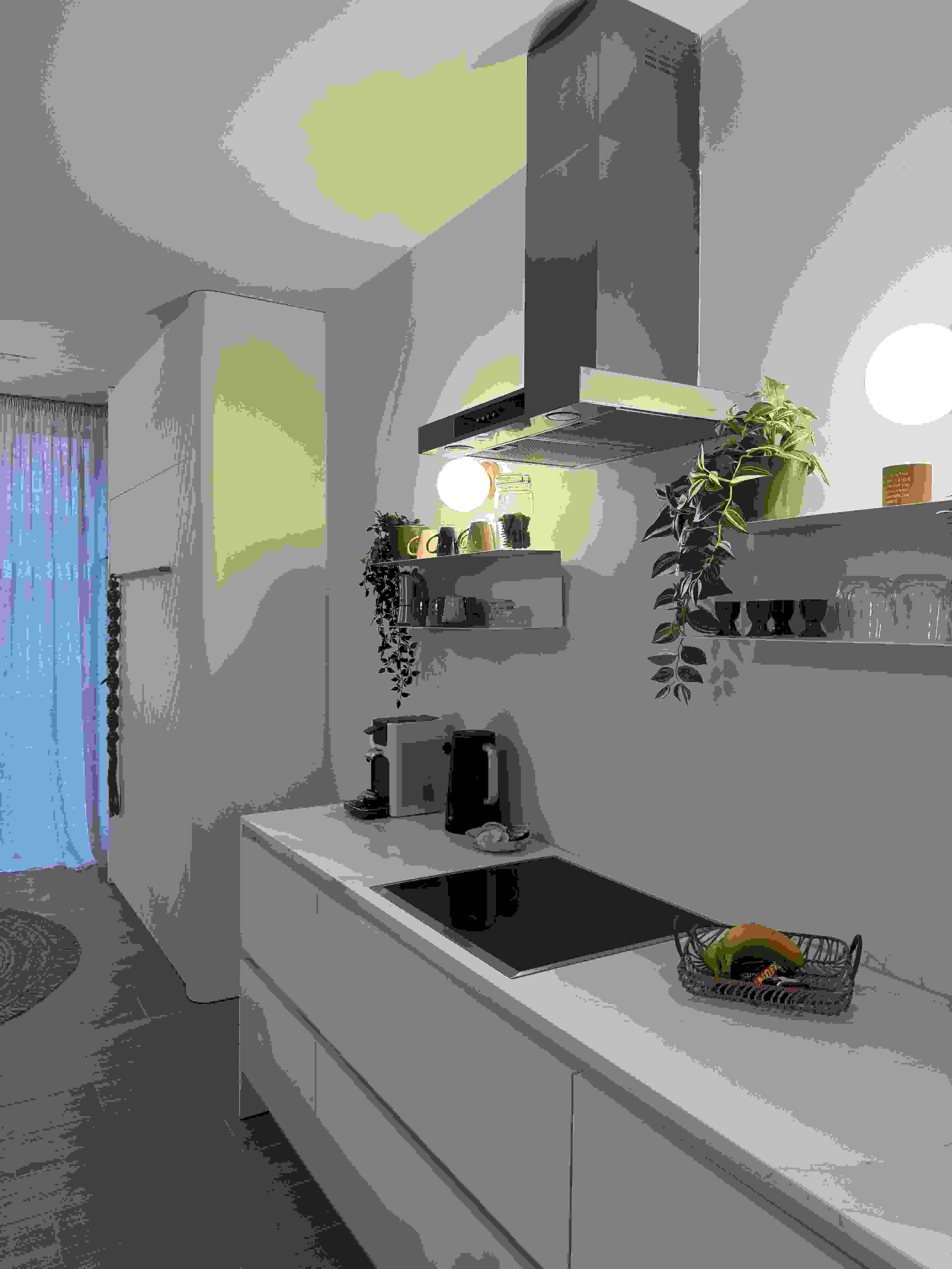 Open wardrobe with plants